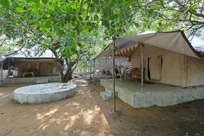 Hotel Jungle Camp - Image 3