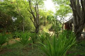 Indeco Hotels Mahabalipuram - Image 2
