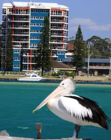 Sunrise Apartments Tuncurry - Image 5