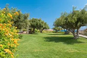 Villa Palekastro in Sitia - Image 4