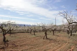 3 bedrooms villa with private pool terrace and wifi at Juncosa Vall d'Alba - Image 3