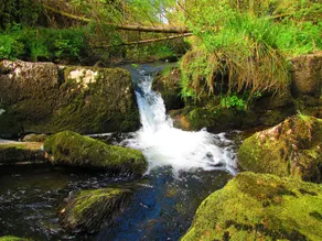 Yr Hafan - Image 2
