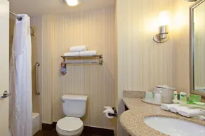 Holiday Inn Express Hotel & Suites Pecos - Image 3
