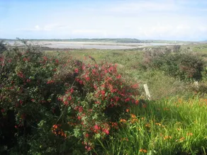 Kermor House - Image 3