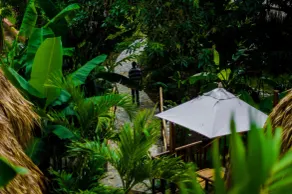Tayrona Paradise - Image 2