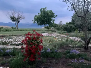 Perfect Home With Private Beach by Iznik Lake - Image 2