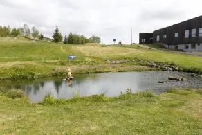 Solheimar Eco-Village Guesthouse - Image 5