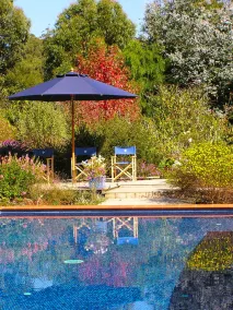 Lemonade Creek Cottages - Image 4