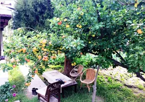Lharje Resort - Image 5