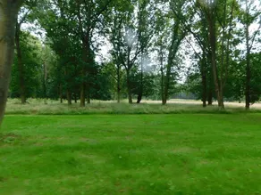 Beautiful 2-bed Lodge in Bury St Edmunds - Image 5