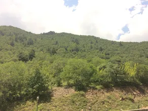 Akasya Vadisi - Image 4