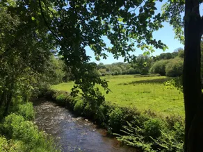 Bow Mill Farm - Image 4