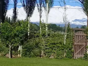 Finca Los Almendros - Image 3