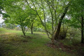 Kanimbla Mist - Image 5