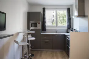 Au Coeur de Lyon - Parc Tête d'Or - Vitton - Image 3