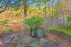 Prospectors Bend - Image 3