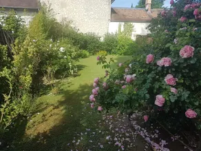 La Montignonne - Image 3