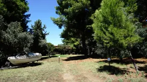 Jimmys Nature House - Image 2