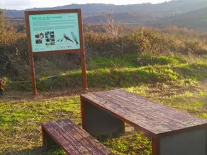 La Casa Dels Ocells - Image 3