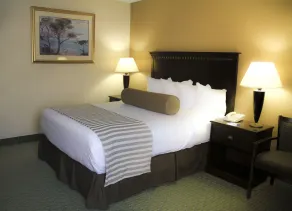 Quality Inn & Suites East Syracuse - Carrier Circle - Image 5