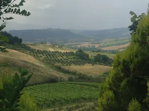 Relais Poggio Del Sogno - Image 3
