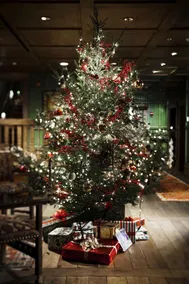 Lake Placid Lodge - Image 2