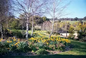 Wombat Hills Cottages - Image 2