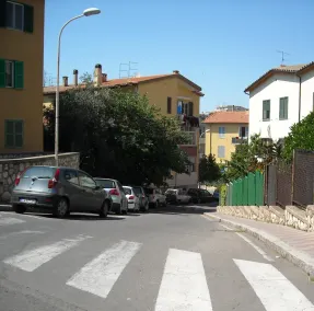 Biologico - Image 5