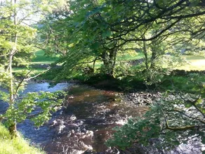 Pennycroft Guest House - Image 4