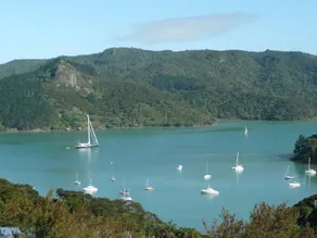 Waimanu Lodge - Image 5