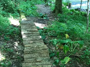 Tentrr - A Riverwalk - Campsite - Image 5