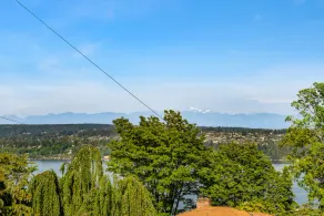 Seattle Vacation Home Out Of Africa - Image 4