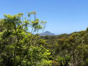 Ullora Road 38 - Nelson Bay, NSW - Image 4