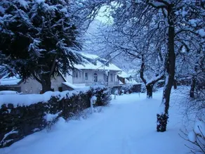 Le Jardin Secret - Image 4