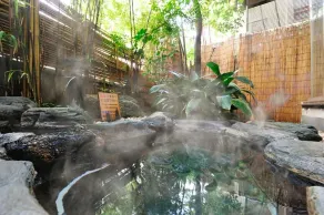 Ohtsuki Hotel Wafuukan - Image 2