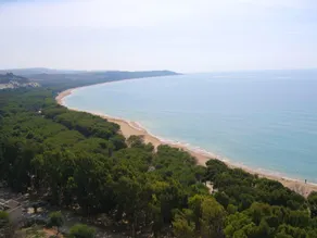 2 bedrooms appartement at Seccagrande 900 m away from the beach with sea view terrace and wifi - Image 3
