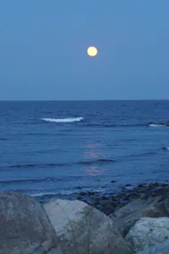 Seascape Inn Hampton - Image 5
