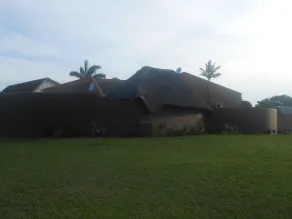 Natal Mahogany - Image 3