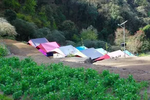 Camp Twilight - Image 2