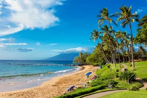 Wailea Elua, #1309 1 Bedroom Condo by RedAwning - Image 2