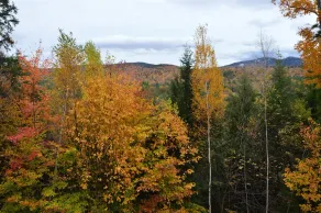 Private Pet Friendly 4 Bedroom Deluxe Vacation Home, Close to Waterville Valley Resort! - Wv68t - Image 4