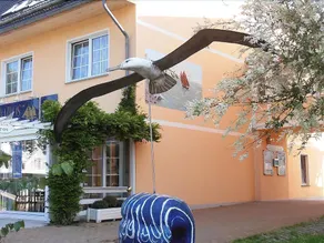 Albatros - Image 5