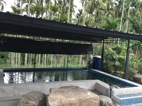 Youshuixiang B&B - Image 2