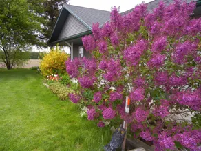Duck Pond Bed & Breakfast Cottage - Image 4