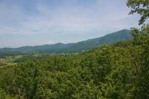PARADISE FOUND - 3 Br Cabin - Image 3
