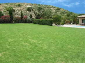 Gorgeous Bungalow by Pissouri Bay With Private big Pool Landcaped Gardenwifi - Image 3