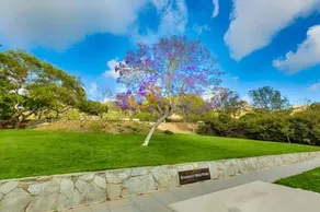 La Jolla Cabana - Image 3