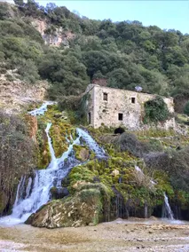 Ksenonas Souliou - Image 2