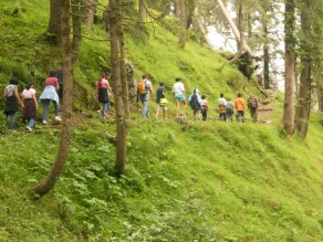 Aamod at Dalhousie - Image 4