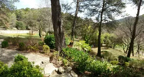 Luberon's Hidden Gem - Image 4